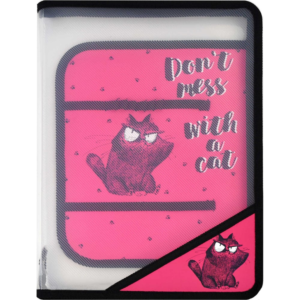 Папка для уроков труда Феникс + Крэйзи Кот полипропилен, А4, 22.8x32.8 ...