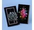Книга для записей listoff КЗ51003780 6
