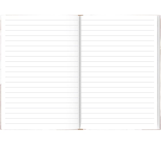 Записная книжка Феникс + Notebook ОТТЕНКИ БЕЛОГО А6 105x140 мм 80 листов твердый переплет 7БЦ полноцветная печать глиттер + тиснение фольгой матовая ламинация блок - белый офсет 65 г/кв. м одна краска линия 61501