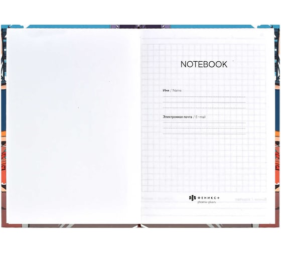 Записная книжка Феникс + Notebook ГОРОД 120x170 мм 80 листов твердый переплет полноцветная печать УФ-лак выборочный матовая ламинация 65 г/кв. м печать в одну краску клетка недатированный 61486