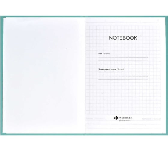 Записная книжка Феникс + Notebook МОРДАШКИ 120x170 мм 80 листов твердый переплет полноцветная печать УФ-лак выборочный матовая ламинация 65 г/кв. м печать в одну краску клетка недатированный 61482