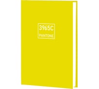 Книга для записей listoff ЕТИЛ596646