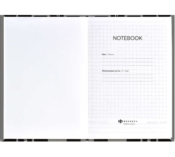 Записная книжка Феникс + Notebook КЛАВИАТУРА 120x170 мм 80 листов твердый переплет полноцветная печать УФ-лак выборочный матовая ламинация 65 г/кв. м печать в одну краску клетка недатированный 61487