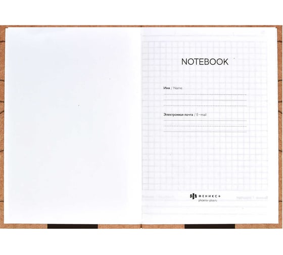 Записная книжка Феникс + Notebook НОВОЕ НАЧАЛО 120x170 мм 80 листов твердый переплет полноцветная печать УФ-лак выборочный матовая ламинация 65 г/кв. м печать в одну краску клетка недатированный 61488