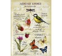 Записная книжка женщины Феникс + ПРИРОДА А6 192 страницы обложка 7БЦ под глянец пленкой блок офсет 65 г 45509