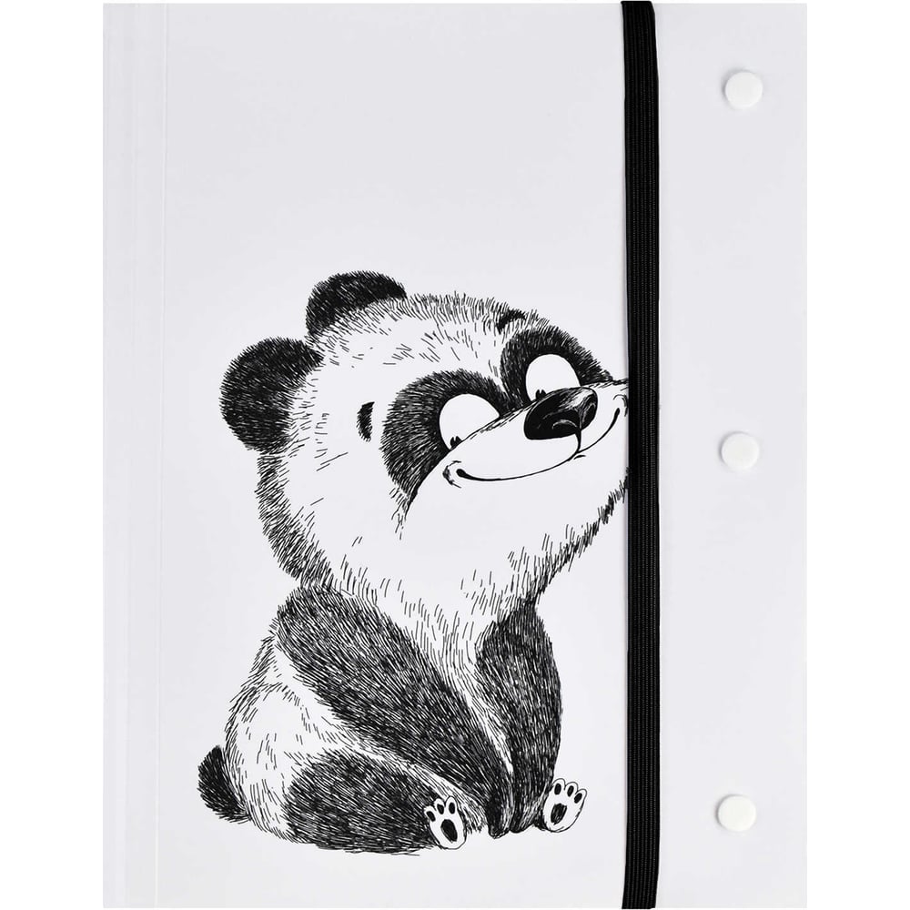 Пластиковая папка для чертежей и рисунков Феникс + 12 КРЭЙЗИ ПАНДА ...