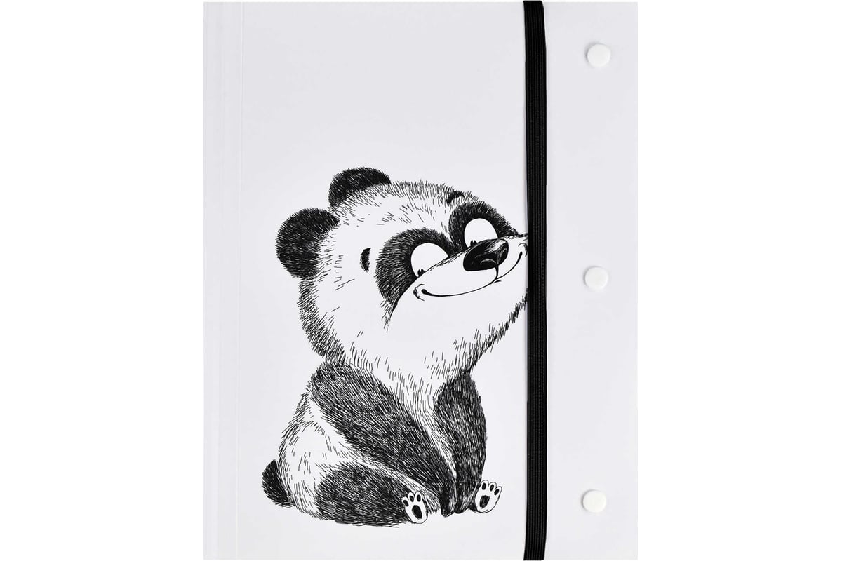 Пластиковая папка для чертежей и рисунков Феникс + 12 КРЭЙЗИ ПАНДА ...