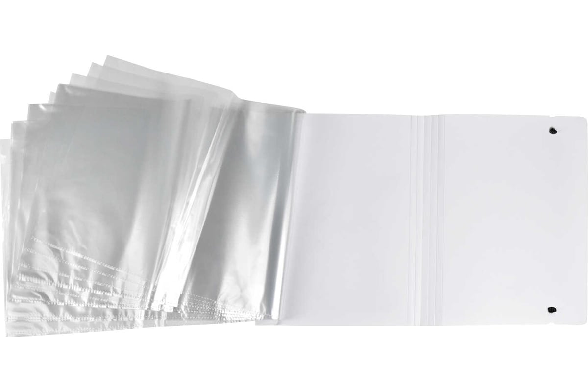 Пластиковая папка для чертежей и рисунков Феникс + 12 КРЭЙЗИ ПАНДА ...