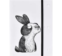 Пластиковая папка для чертежей и рисунков Феникс + 12 КРЭЙЗИ ЗАЙКА полипропилен формат А5 17,2x22,5 см 1 отделение резинка 20 ПВХ файлов формата А4 печать шелкографией 60453