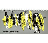 Недатированный еженедельник Феникс+ ФРАЗЫ 165x85 мм, 64 л, мягкий переплёт, полноцветная печать, выборочный УФ-лак, матовая ламинация, блок - белый офсет, 65 г/м2, печать в одну краску, лини