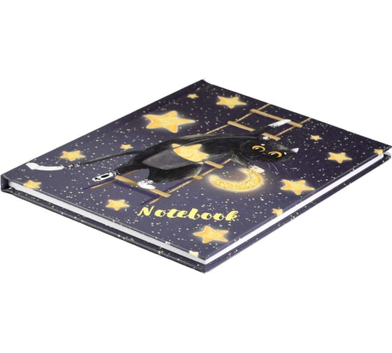Записная книжка Феникс + ЗВЕЗДОЧЕТ А6 117x151 мм 48 листов твердый переплет полноцветная печать глянцевая голографическая ламинация 65 г/кв. м одна краска линия 61556