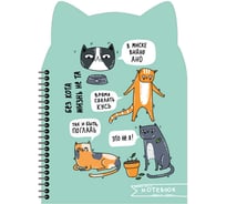 Записная книжка Феникс + КОШАЧЬИ ШАЛОСТИ 180x250 мм 80 листов гребень по длинной стороне полноцветная печать глянцевая ламинация 65 г/кв. м одна краска клетка дизайнерский блок фигурная вырубка 62750