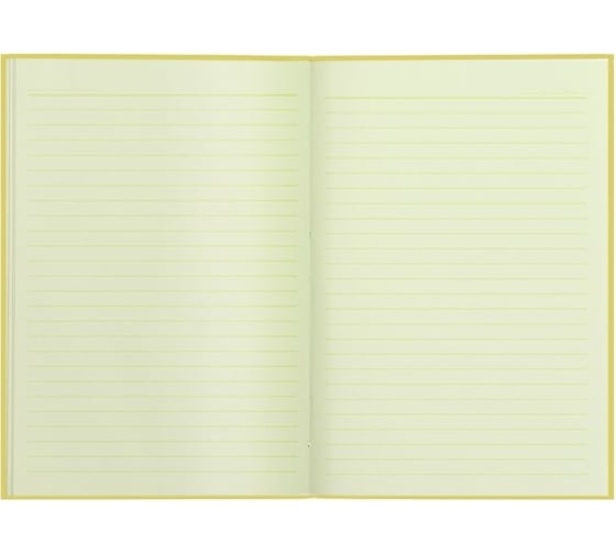 Записная книжка Феникс + МОНСТЕРЫ А6+ 96 листов интегральный переплет многоуровневый конгрев матовая ламинация блок - белый офсет 80 г/кв. м печать в две краски 50269