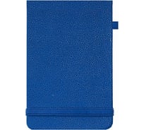 Записная книжка Феникс + 20 ШАГРЕНЬ СИНИЙ 90x140 192 страницы эластичная застежка-резинка карман на заднем форзаце твердый переплет 47506