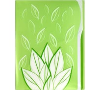 Папка для документов Феникс + Листва А4, 31x23.5x1.7 см, 1 отделение, внутренний карман-уголок, карман на лицевой стороне, зажим, УФ-печать 48300