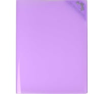 Папка для документов Феникс + Фиолетовый А4, 31.2x23.3x0.8 см, 1 отделение, 6 впаянных файлов с уголками, с держателями для уголков 53244