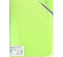 Папка для документов Феникс + Зеленый А4, 31.2x23.3x0.8 см, 1 отделение, 6 впаянных файлов с уголками, с держателями для уголков 53245