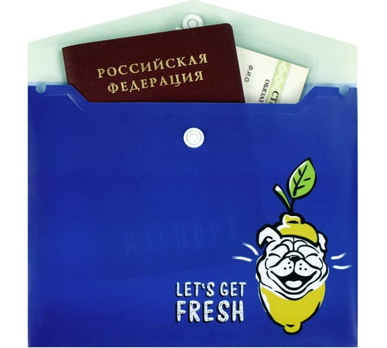 Папка для документов Феникс + СОБАКА-УЛЫБАКА полипропилен, А6, 17x14 см, 1 отделение, кнопка, УФ-печать 58824
