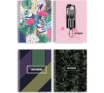 Записная книжка Феникс + 148x113 мм 24 АССОРТИ 120 листов гребень евроспираль белый офсет 70 г/кв. м печать в одну краску ПЭТ-пакет 49763