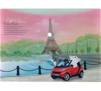 Папка-конверт COMIX География на кнопке А5 Франция 12 шт в упаковке A1854 FR