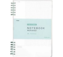Блокнот COMIX Morandi A5, клетка, тонир блок c полями, 80 листов, на пружине, обложка прозрачно-зеленая C5606 GN