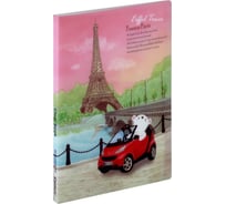 Папка COMIX География на 20 файлов А4 Франция A7582 FR