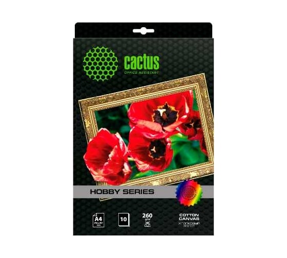 Холст для струйной печати CACTUS CS-CA426010 A4/260г/м2/10л. 805878 1