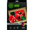 Холст для струйной печати CACTUS CS-CA426010 A4/260г/м2/10л. 805878 1