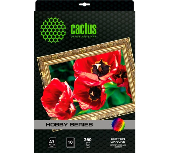 Холст для струйной печати CACTUS CS-CA326010 A3, 260г/м2, 10 листов, белый 805877 1