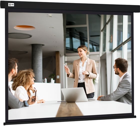 Экран 168x299см Wallscreen CS-PSW-168x299-BK 16:9 настенно-потолочный рулонный черный Cactus 1678319