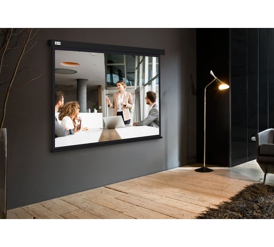 Экран 168x299см Wallscreen CS-PSW-168x299-BK 16:9 настенно-потолочный рулонный черный Cactus 1678319