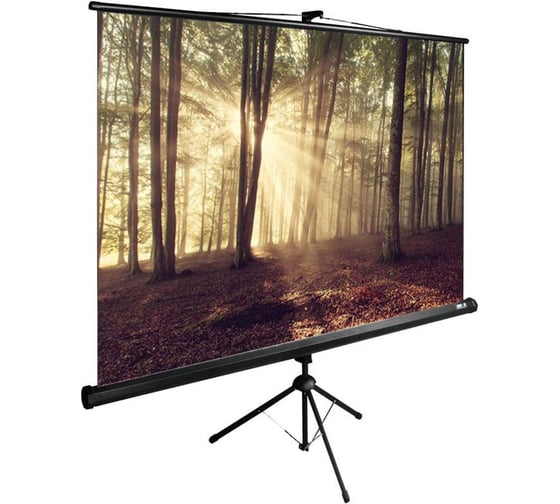 Напольный рулонный экран CACTUS 135x180 см TriExpert CS-PSTE-180x135-BK 4:3 черный 1020909