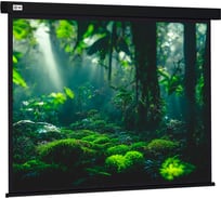 Настенно-потолочный рулонный экран CACTUS 213x213 см Wallscreen CS-PSW-213x213-BK 1:1 черный 1678341