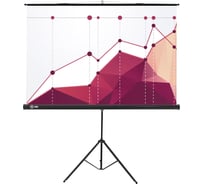 Напольный рулонный экран CACTUS 180x180 см Triscreen CS-PST-180x180 1:1 черный 359024