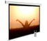 Настенно-потолочный рулонный экран CACTUS 165x220 см MotoExpert CS-PSME-220x165-WT 4:3 белый (моторизованный) 407871 1