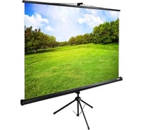 Напольный рулонный экран CACTUS 150x200 см TriExpert CS-PSTE-200x150-BK 4:3 черный 1021033