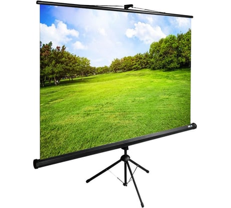 Напольный рулонный экран CACTUS 150x200 см TriExpert CS-PSTE-200x150-BK 4:3 черный 1021033