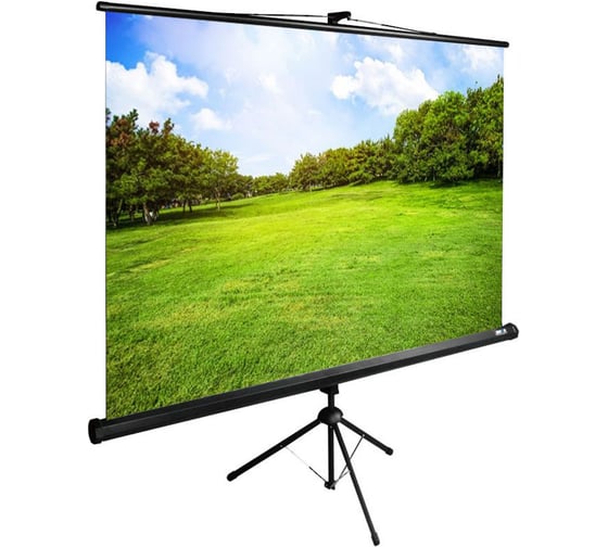 Напольный рулонный экран CACTUS 150x200 см TriExpert CS-PSTE-200x150-BK 4:3 черный 1021033 1