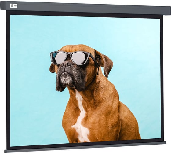 Настенно-потолочный рулонный экран CACTUS 149.4x265.7 см Wallscreen CS-PSW-149x265-SG 16:9 серый 1678305 1