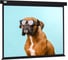 Настенно-потолочный рулонный экран CACTUS 183x244 см Wallscreen CS-PSW-183x244-BK 4:3 черный 1678329 1