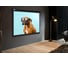 Настенно-потолочный рулонный экран CACTUS 183x244 см Wallscreen CS-PSW-183x244-BK 4:3 черный 1678329 2