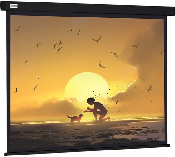 Настенно-потолочный рулонный экран CACTUS 150x150 см Wallscreen CS-PSW-150x150-BK 1:1 черный 1678311