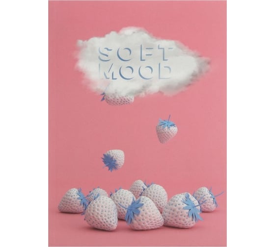 Записная книжка Academy Style А6+ 64л интегр -EAC софт-тач лам Клубничный дождь 11136 1