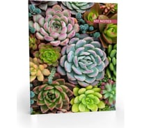 Записная книжка Academy Style А6 96л 7БЦ -EAC мат лам с резинкой Суккуленты 11358