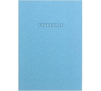 Записная книжка Academy Style А6+ 64л интегр -EAC софт-тач лам В голубом 11135