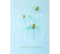 Записная книжка Academy Style А5 128л 7БЦ -EAC софт-тач лам Бархатные тыквы 13448