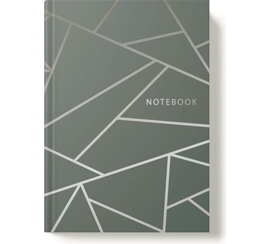 Записная книжка Academy Style А5 96л интегр -EAC софт-тач лам Grey 13478