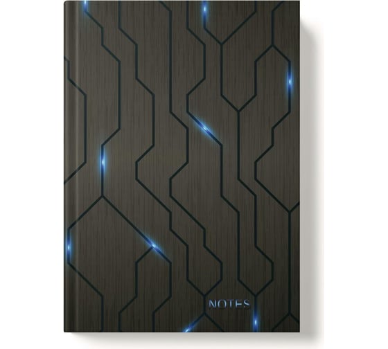 Записная книжка Academy Style А5 160л 7БЦ -EAC глянц лам Микросхема 13485 1