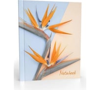 Записная книжка Academy Style А5 128л интегр -EAC мат лам выб УФ Стрелиция 13469