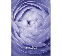 Записная книжка Academy Style А5 96 листов 7БЦ -EAC мат лам тисн фольг Ранункулюс 13441
